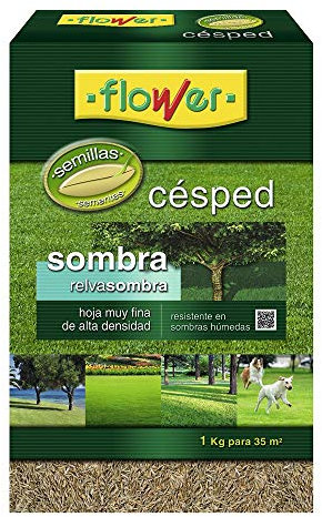 SEMILLAS CESPED SOMBRA1 KG