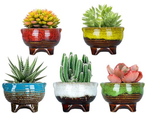 ARTKETTY Vasi in ceramica per piante grasse, piccoli vasi per cactus, 10 cm, contenitore per piante da fiore smaltato con drenaggio, decorazione per casa e giardino, confezione da 5