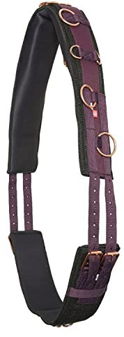 IMPERIAL RIDING Longiergurt Deluxe Extra