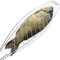 Parrilla Barbacoa Pescado, Canasta De Asado De Pescado Para BBQ, Accesorios Barbacoa y Camping, Portátil Y Plegable, Material De Calidad Con Cierre De Seguridad Y Mango De Roble TAMAÑO GRANDE 65X15CM