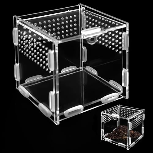 Caja De Alimentación Acrílica, 10x10x10cm Mini Caja de Terrario Reptiles