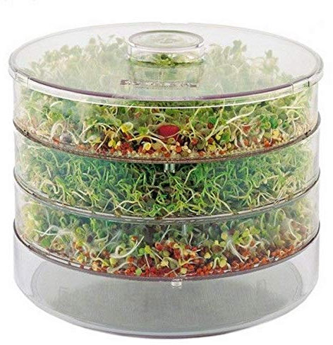 DECOCRAFT Germinateur de graines à trois niveaux pour haricots et graines/germes biologiques sains