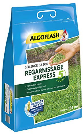 ALGOFLASH Semence Gazon Regarnissage Express, Jusqu'à 135 m², Poids : 3 Kg, SEMEX3