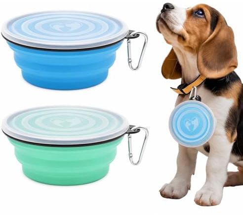 GNALIA Ciotola Portatile Per Cani In Silicone Pieghevole, 2 Pezzi Da Viaggio Con Moschettone, Per Cibo E Acqua, Capacità 350Ml, Colore Azzurro E Verde