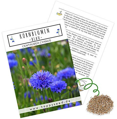 Kornblumen Samen (Centaurea cyanus) - Wunderschön leuchtende Blumen mit langer Blütezeit für eine bunte Blumenwiese (Blau, 1000 Korn, 80 cm)