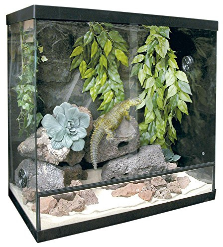 Ica krs60 kit för terrarium Repti Sselva glas