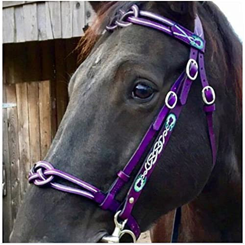 FHXYZ Briglie da cavallo a grandezza naturale – Redini equestri in pelle – con morbida fibbia imbottita e singola guancia per accessori per cavalli, attrezzatura da corsa, misura regolabile (viola)