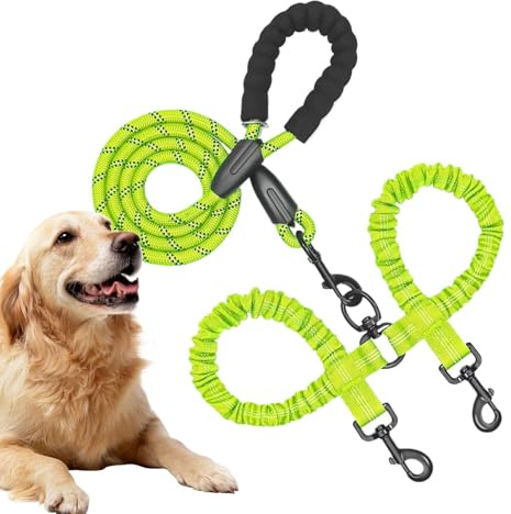 Corda da addestramento per cani, doppia cintura da corsa per cuccioli, guinzaglio regolabile per cuccioli e animali domestici, corda elastica ammortizzante per due gatti