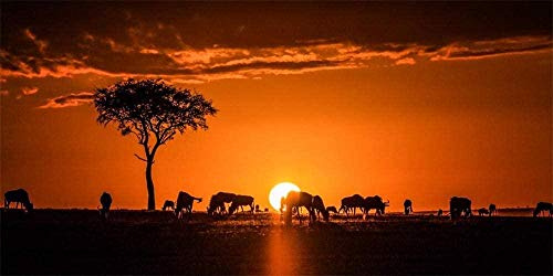 WXLSL Wooden Jigsaw Puzzle For Adults 1000 Pieces, Africa Kenya Safari,Sunset Silhouette Puzzle Games Home Decor Gifts
