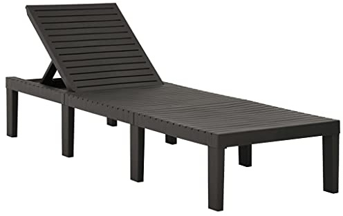 vidaXL Chaise Longue Bain de Soleil de Jardin Chaise Longue de Patio Transat de Terrasse Extérieur Arrière-Cour Plastique Anthracite