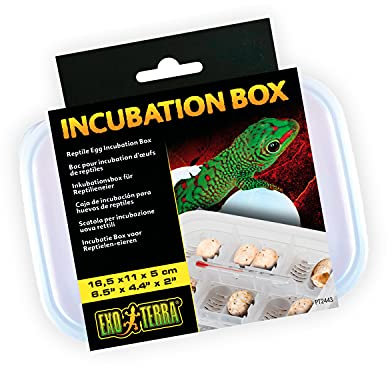 Exo Terra Inkubations-Box für Reptilieneier, ideal für den Gebrauch im Exo Terra Inkubator Pro