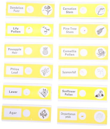 OKUMEYR 12pcs Plastic Prepared Microscope Slides for Yellow Plant Specimens Abs Sample Specimens Collection for Biology Science Education and Student Experiments