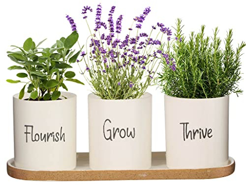 Dibor Set of 3 Window Box Herb Planters Gardening Gift Plant Pots (BP98)