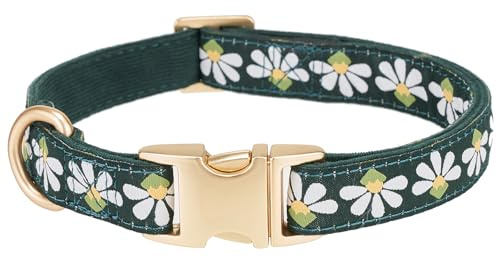 YUDOTE Collar de pana suave para perro con cinta jacquard de primera calidad, collares florales para perros pequeños, uso diario, color verde