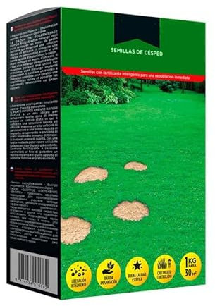 Césped Mediterráneo 1 Kilo de Semillas de Césped Resistente a la Sequía y al Pisoteo