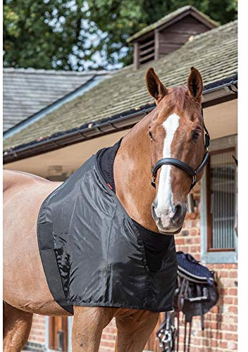 LeMieux Anti Rub Bib in Black with Elastic Belly Straps - Horse Wither Protection - Perfect Fit Chest Guard - XXS