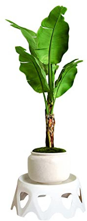 belupai Mini Présentoir de Tabouret en Plastique, Support Rond en Plastique pour Plantes, Support de Pot de Plantes de Jardin, Support D'affichage de Fleurs Moderne pour Décoration(Blanc, S)