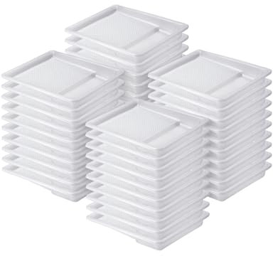 Bates- Bandeja de pintura, 9 pulgadas, paquete de 40, bandeja de rodillo de pintura, bandejas de pintura de plástico desechables, bandejas de pintura, suministros de pintura para pintura de casa,