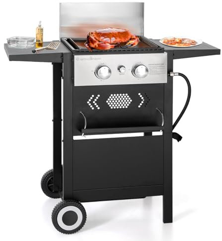GRÖN PARTY 2-brännare grillkombination, 2-i-1 propan gas grill med gjutjärnsplatta, utomhus platt grillgrill, 20 000 BTU-utgång liten propan grill för camping, uteplats, trädgård, balkong