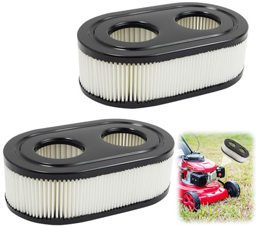 2 Pezzi Filtro Aria Tagliaerba per Motori Briggs & Stratton 593260 798452 798339 093000er, Sostituzione del Filtro Dell'Aria per Tosaerba, Luftfilter Giardino Rasenmäher per 4247 5432 5432K