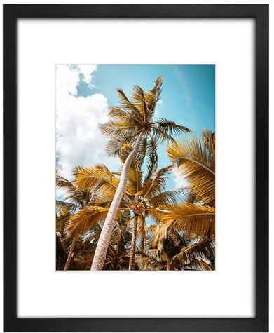 Frametory, 16x20 Black Picture Frame - Display Pictures 11x14 Photo with Mat - High Definition Real Glass- Wide Molding (16x20, Black)