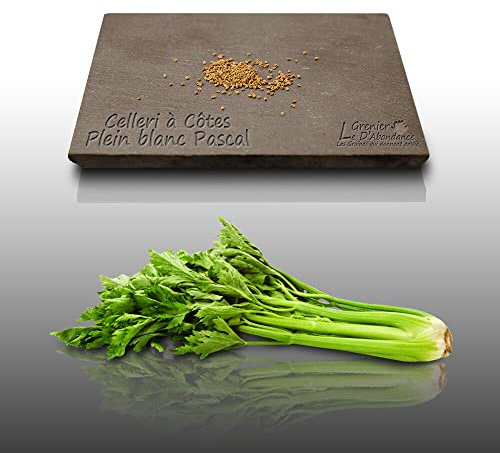 100 graines d'Aromatiques à semer - Le Grenier d'Abondance - CELERI Blanc Pascal - Apium graveolens