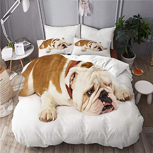 BEITUOLA Set Biancheria da Letto,Set Copripiumino in Microfibra con Federa,Bulldog Inglese,1 Copripiumino 200 x 200cm + 2 federe 50 x 80cm