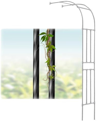 Traliccio ad arco da giardino per piante rampicanti Supporto per arco a mezza rosa in metallo Robusto pergolato da giardino per verdure, fiori e fruttaStruttura rampicante durevole per viti e rose