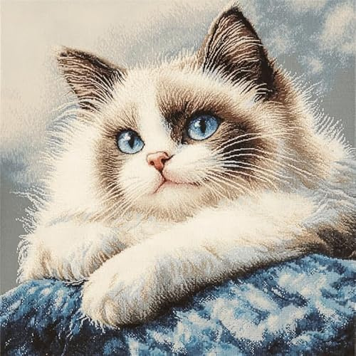 Kit Gancio di Chiusura per Cuscino Fai-da-Te,Gatto animale,un simpatico gatto siamese,Artigianato Facile da Imparare per Kit Tappeto con Gancio di Chiusura per Cuscino,43x43cm