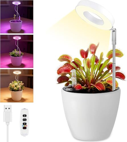 Rinfency Pflanzenlampe LED Vollspektrum Set für Fleischfressende Pflanzen -Flowerpot Grow Lampe Sonnenlicht Plants, USB Venusfliegenfalle Anzuchtlampe, Tageslichtlampe Pflanzenlicht für Pflanzen