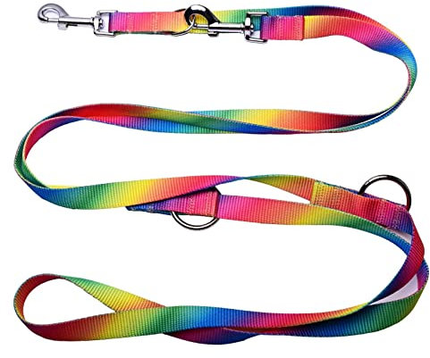 Robuste Doppelleine aus Nylon bunt Hundeleine für Hunde bis 60kg mehrfach verstellbar (6M)