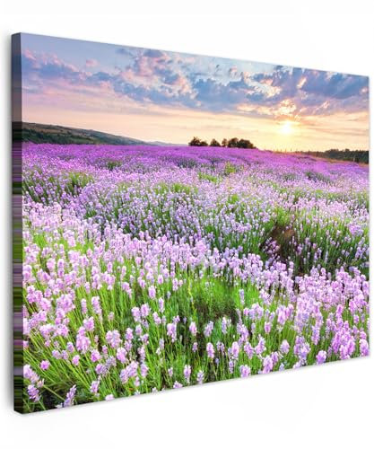 MuchoWow© Quadro su Tela 80x60 cm Stampe da Parete Quadri Cucina Camera da Letto Dipinto Arredamento Casa Fiori - Lavanda - Viola - Cielo - Tramonto - Prato - Natura