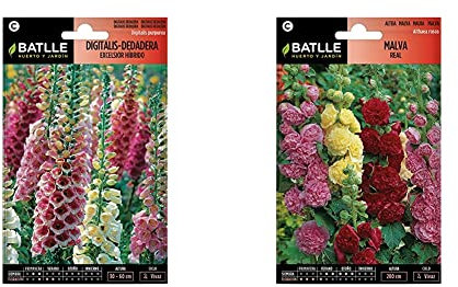 SEMILLAS BATLLE Digitalis-Dedadera Excelsior hibrido + Malva Real VARIADA