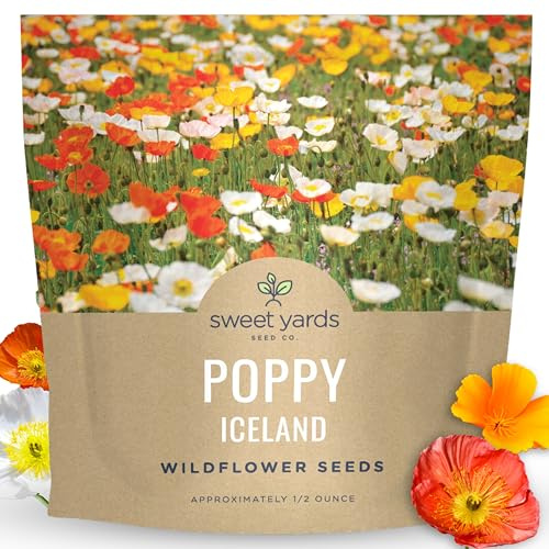 Poppy - Iceland - Large 1/2 Ounce Packet - 75,000 Flower Seeds for Planting - Papaver nudicaule