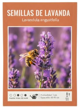 DECOALIVE Semillas de Lavanda para Jardines Soleados y Decoración Natural