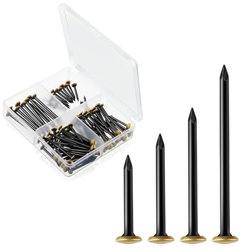 TINA.WIN 120 Set di chiodi (20/25/30/40 mm) chiodi in acciaio placcato oro. Chiodi in acciaio per muri in cemento tasselli per cemento chiodi per mattoni carpenteria cornici appendere opere d'a