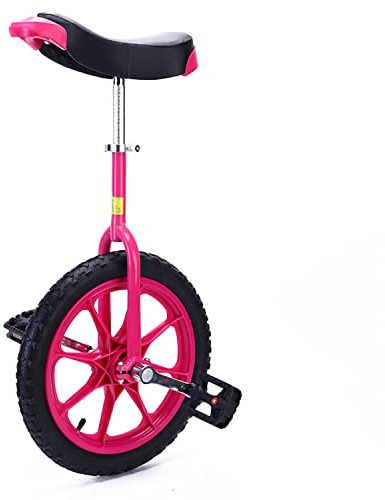 Balanscykel Enhjuling 16 tum Flerfärgad(Pink+black)