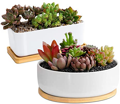 ARVINKEY White Ceramic Succulent Plant Pots, 1 Rectangular Flower Pot + 1 Round Planter, Set of 2 Small Cactus Container, Bonsai Pots, Flower Pots with Drainage Hole& Bamboo Tray (No Plant)