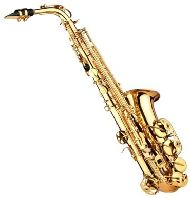 Professionell Saxofon Eb altsaxofon lackerat mässingsblåsinstrument. Inklusive bärväska handskar remrengöringsduk och borste.