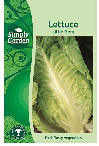 Simply Garden Lettuce Little Gem Fresh Vegetable Seeds Leafy Salad Grow Your Own Garden