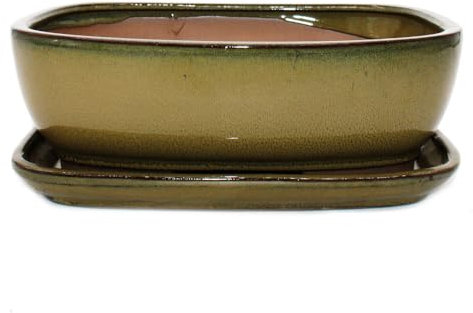 Bonsai-Schale mit Unterteller Gr. 5 - Oliv-Braun - rechteckig - Modell GB5 - L 31cm - B 25cm - H 10cm