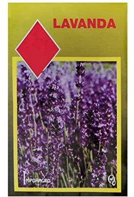 Sobre de Semillas de Lavandula o Lavanda Espliego Común