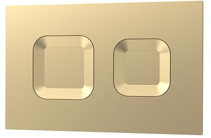 nuie XTY009PS8 Bathroom Accessories Modern Dual Flush Plate with Square Buttons, 267 x 170 x 11mm, Brushed Brass