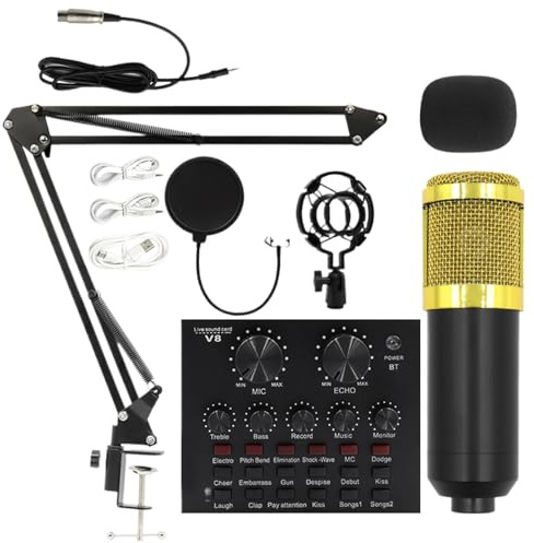 Set Microfono - Attrezzatura Per Registrazione Podcast, Kit Streaming Con Supporto PerMicrofono, Pacchetto Microfono | Strumenti Multiuso Per Lo Streaming Live Per Cantanti, Conduttori E Creatori Di