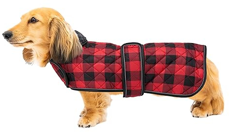 Geyecete Impermeabile Cappotto Cane, Bassotto Invernale Cappotto,Giacca del Cane con fodera in pile calda all'interno,Abbigliamento Regolabile per Cani all'aperto per Miniatura Bassotto-Rosso-XS