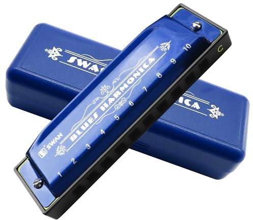 Blues Armonica Mondorgan 10 Fori Armonica Diatonica Arpa Diatonica Chiave di Do Organo a Bocca Metallo Fiati Strumento Musicale Regalo