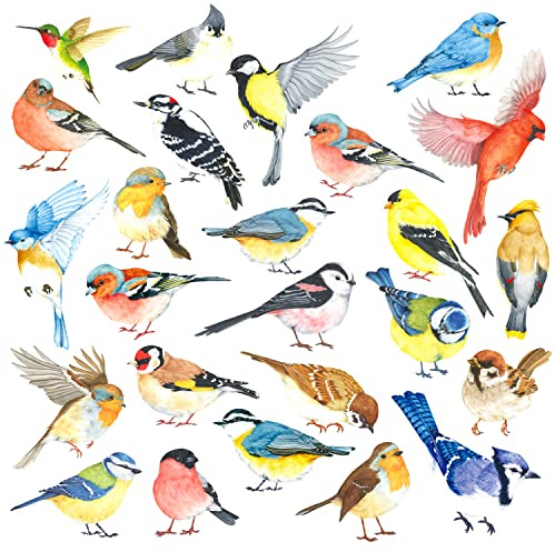 DECOWALL Colourful Birds Wall Stickers, 25 Little Flying Bird Wall Decals Peel and Stick Nature Wall Art for Bedroom Living Room Kitchen Window Décor (DS4-8063)