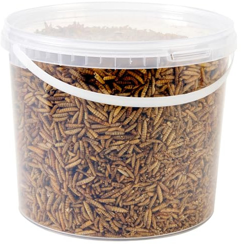 Wild Bird Food 5L Tub (5L Tub, Calci Worms)