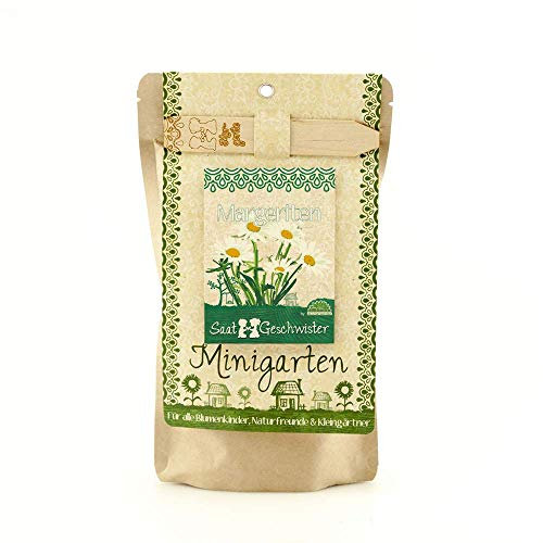 Die Stadtgärtner Minigarten Margarite | Komplettes Pflanzset für die beliebte Zierpflanze