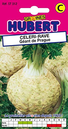 Graines de Céléri-Rave Géant de Prague - 0,5 grammes